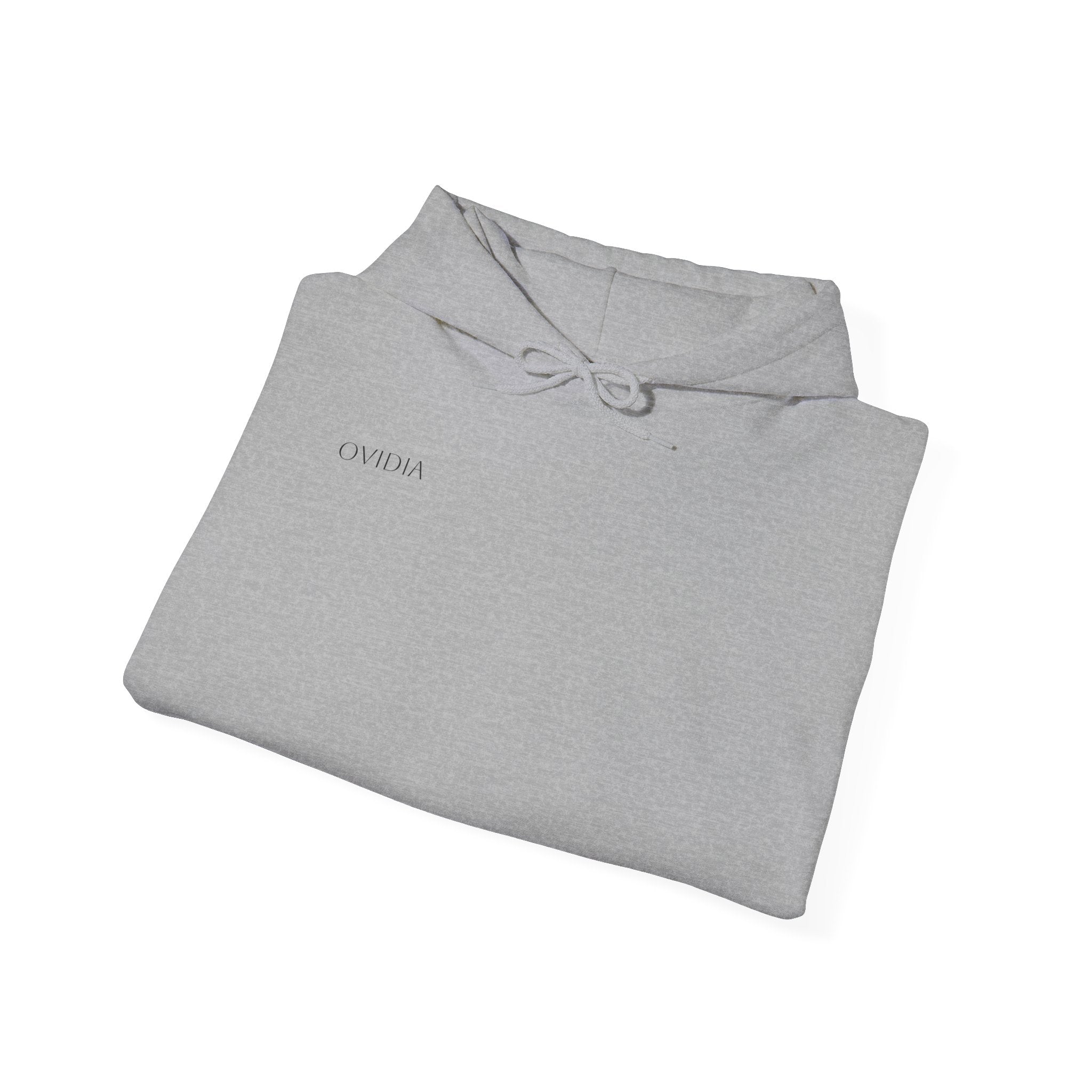 Jesus's Wings Hoodie