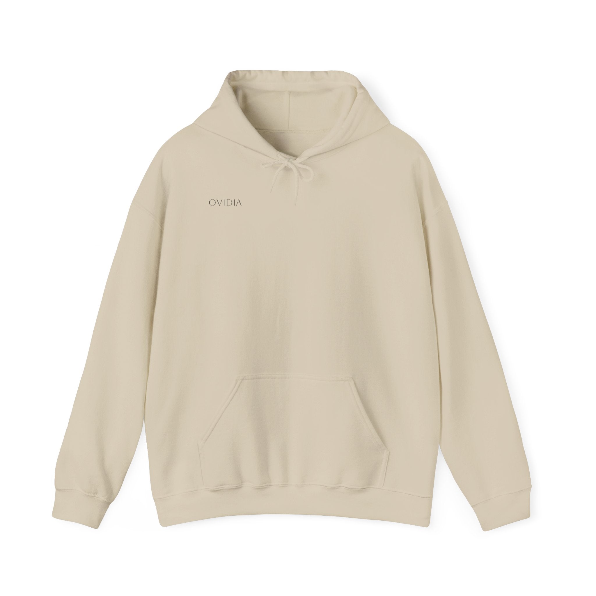 Jesus's Wings Hoodie