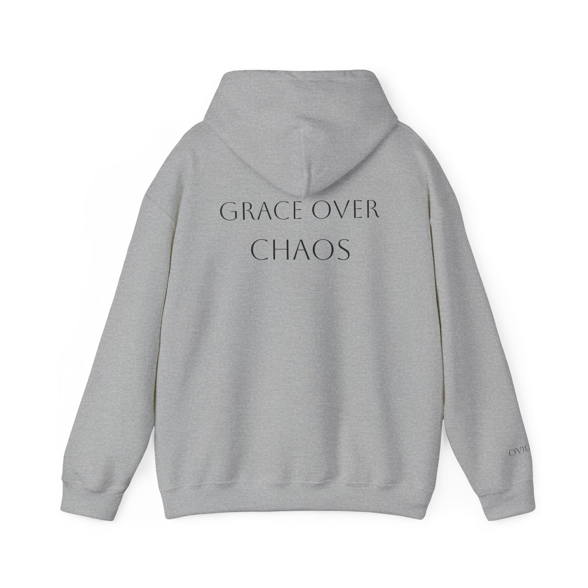 Embrace the Chaos Hoodie
