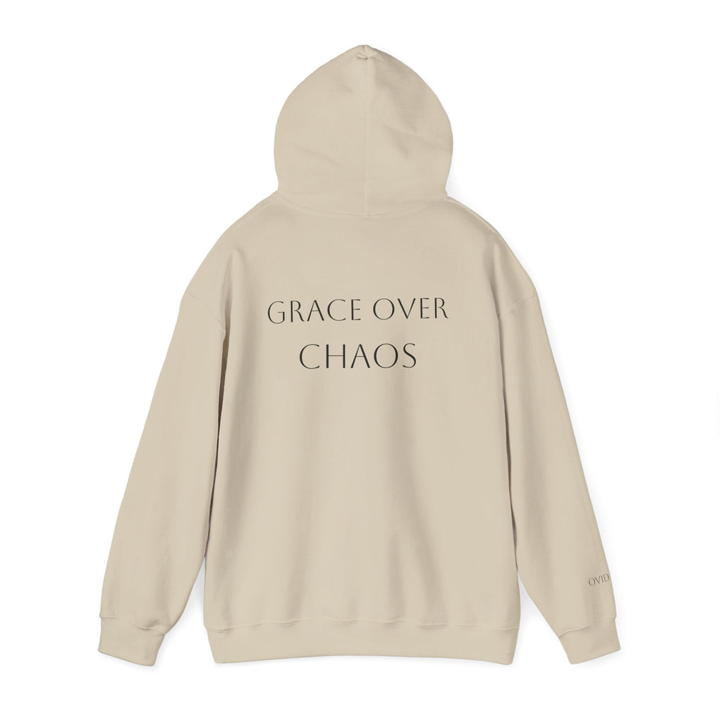 Embrace the Chaos Hoodie