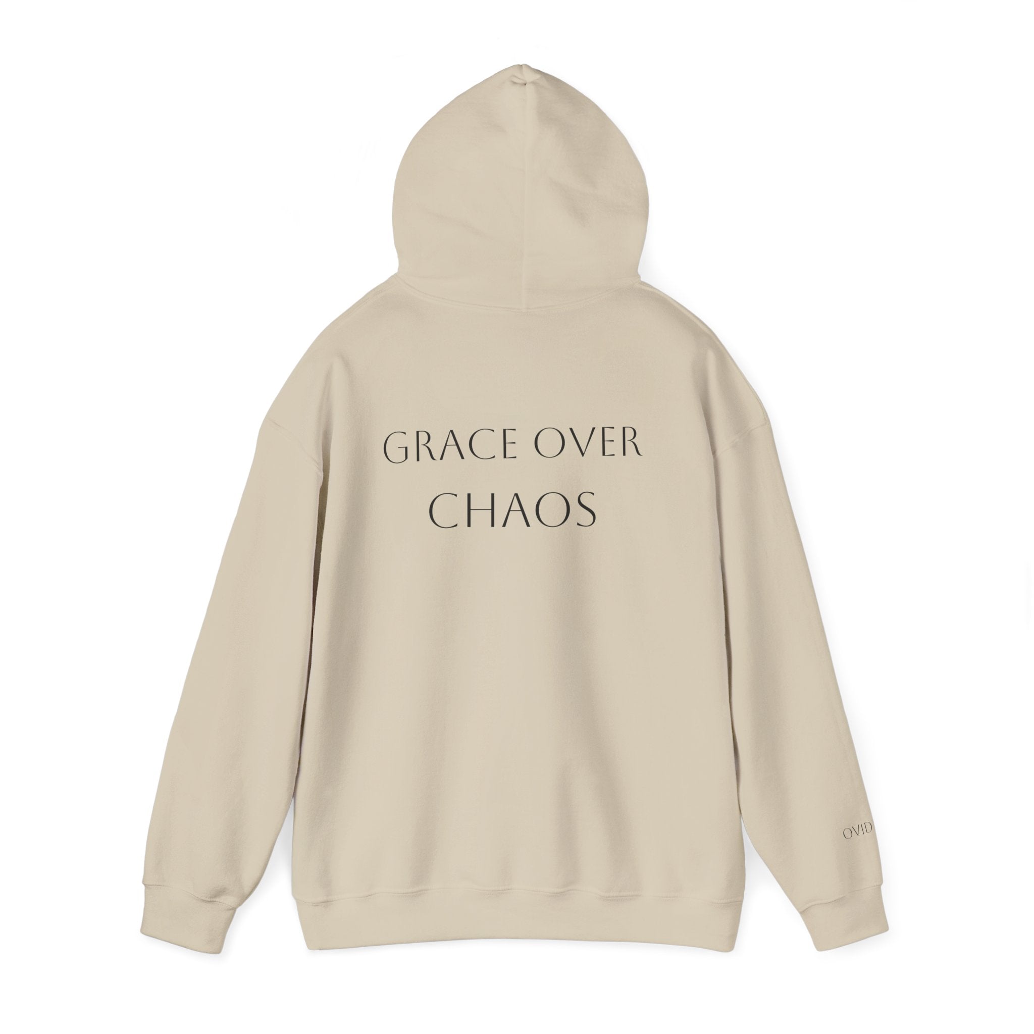 Embrace the Chaos Hoodie
