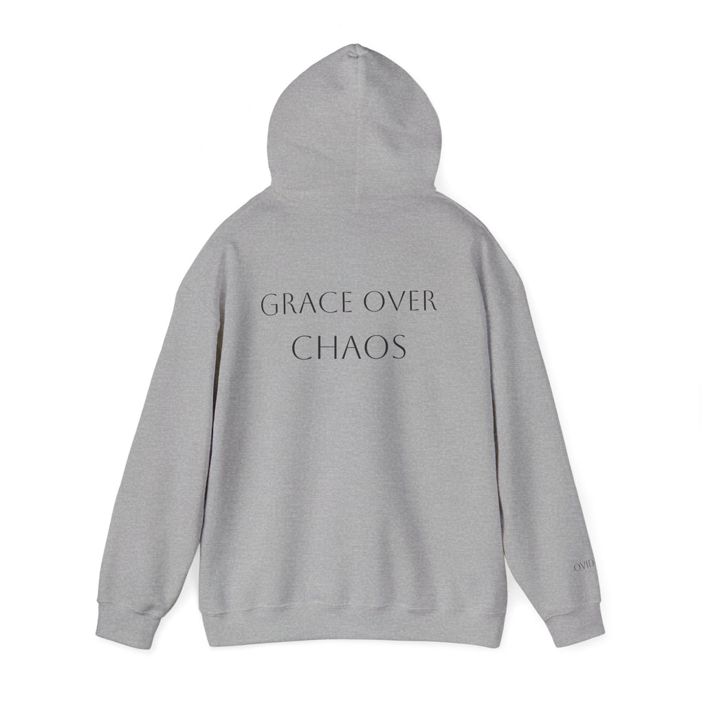 Embrace the Chaos Hoodie