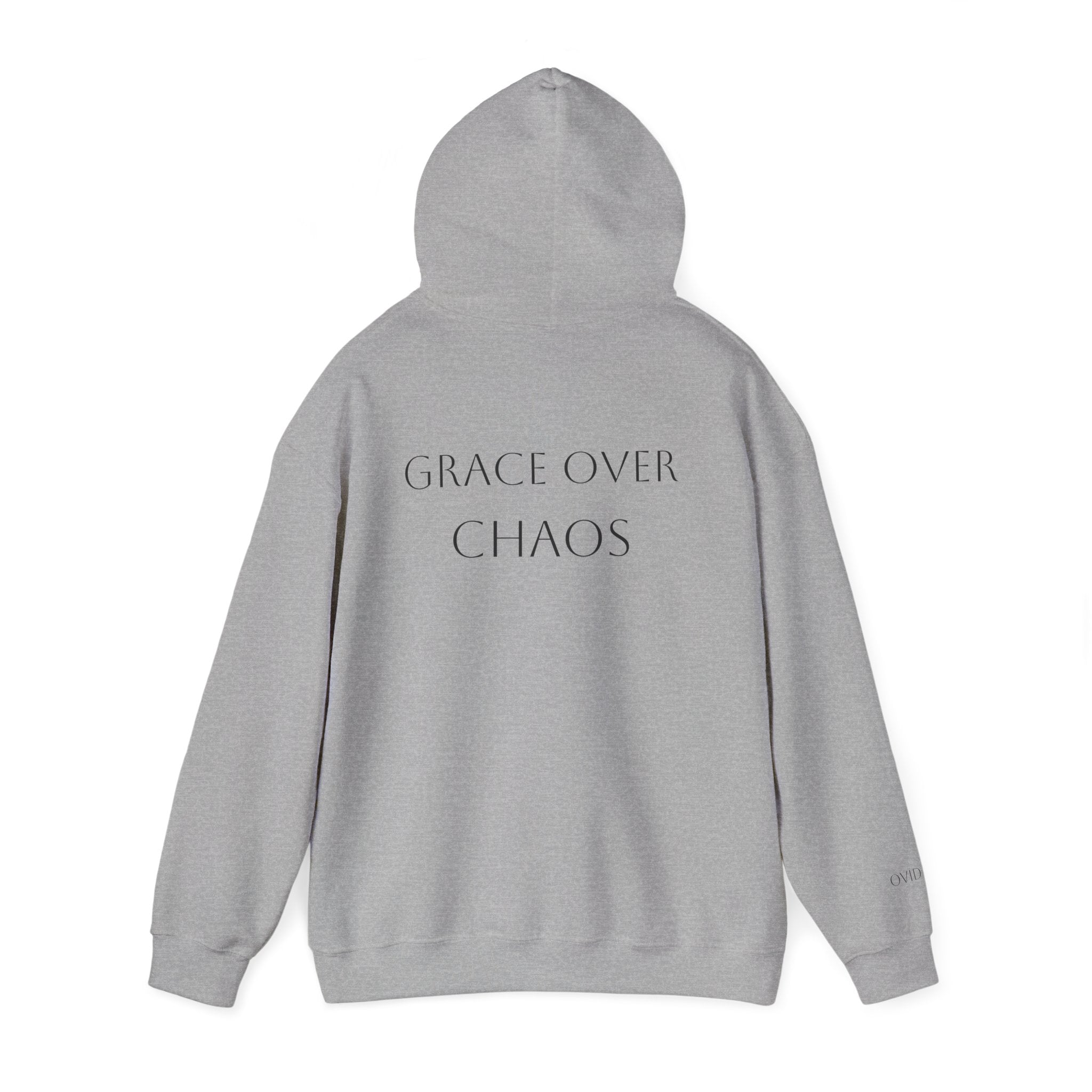 Embrace the Chaos Hoodie