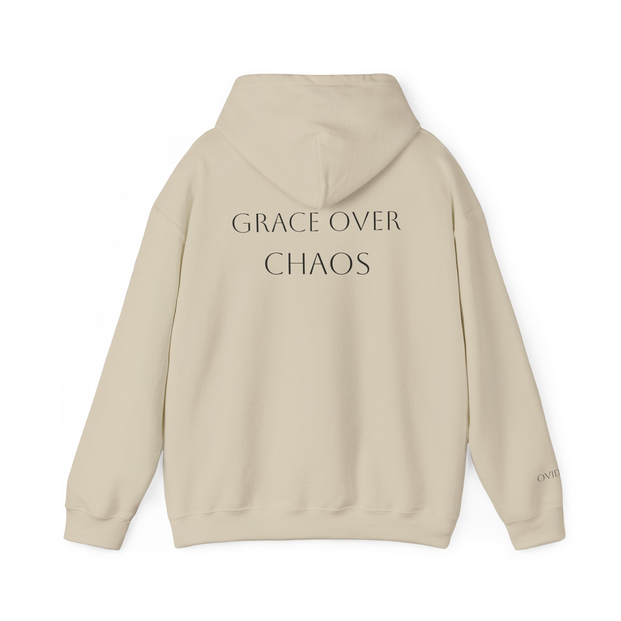 Embrace the Chaos Hoodie