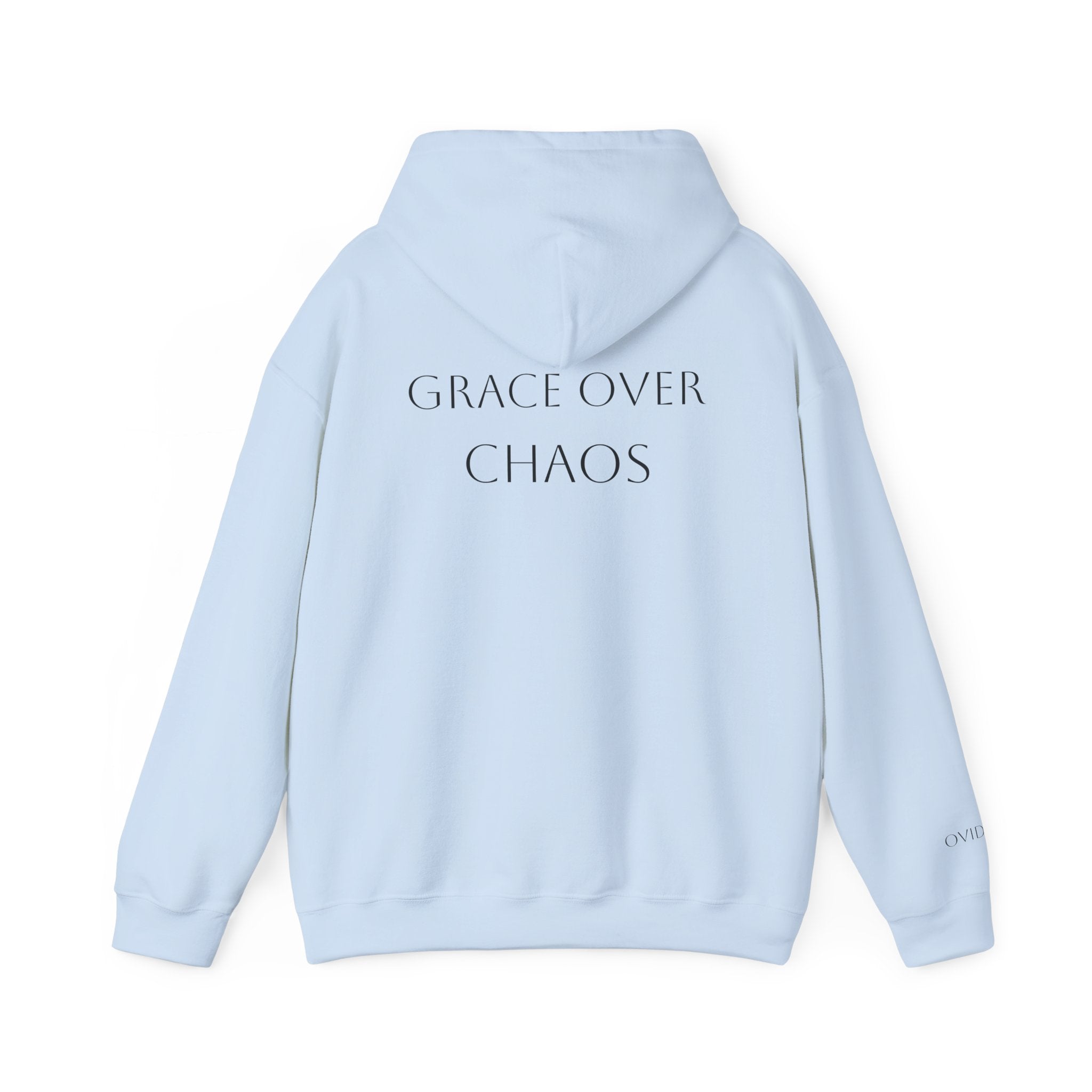 Embrace the Chaos Hoodie