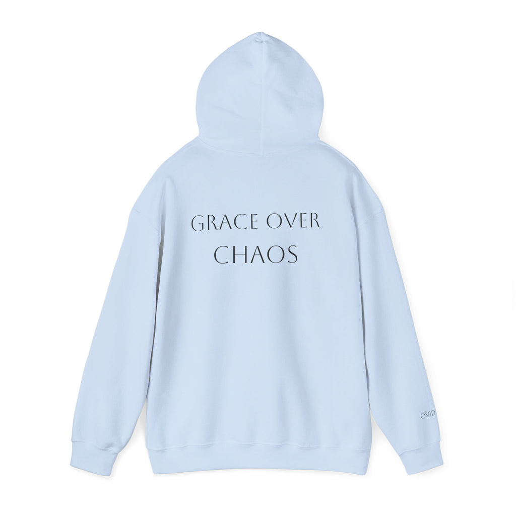 Embrace the Chaos Hoodie