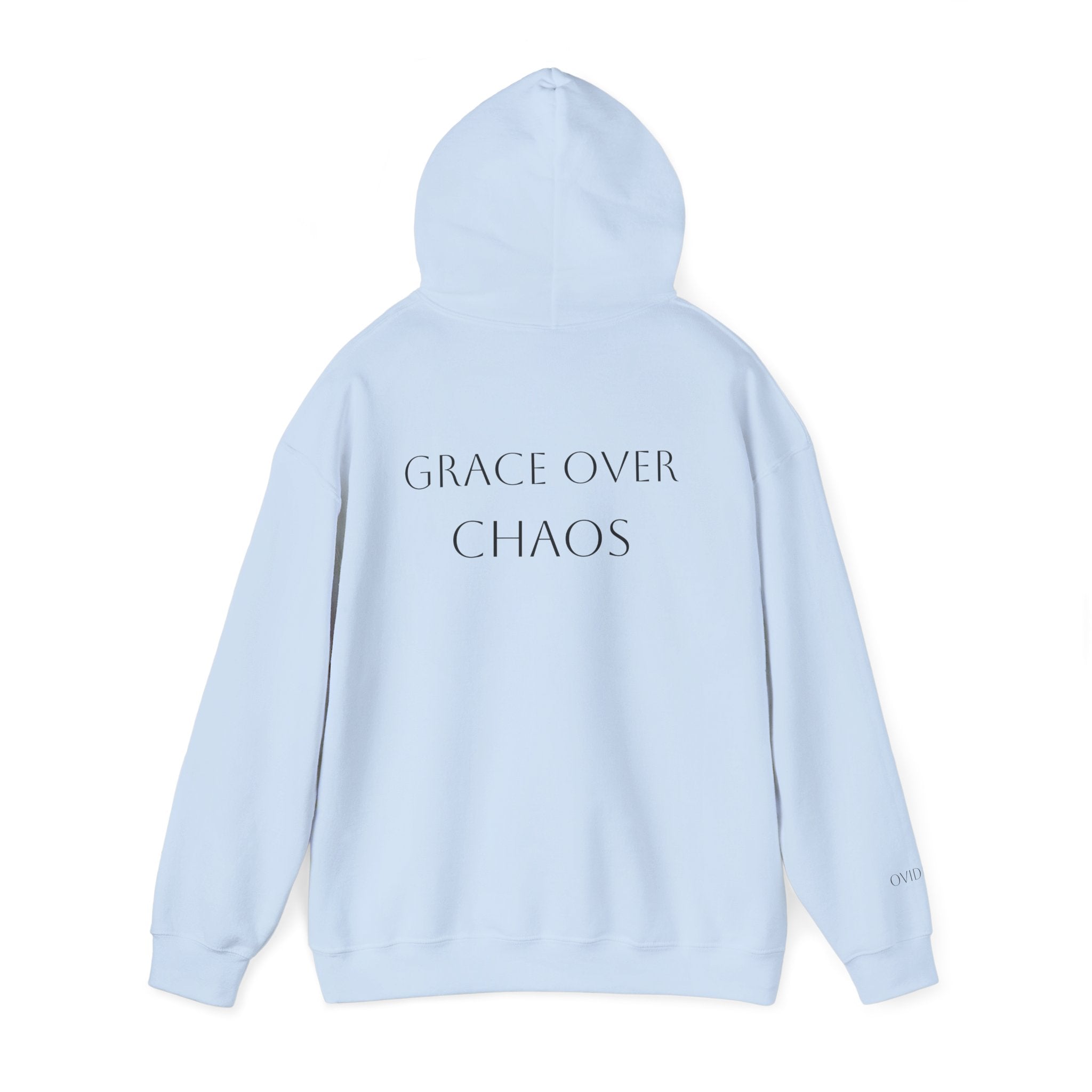 Embrace the Chaos Hoodie