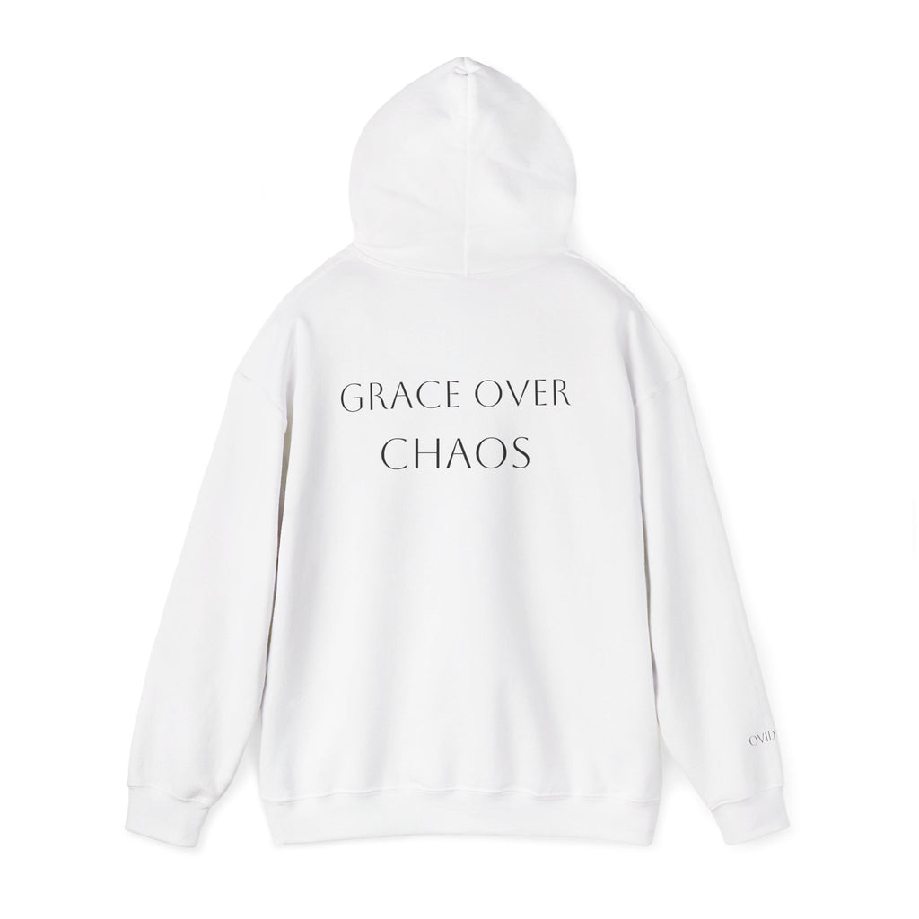Embrace the Chaos Hoodie