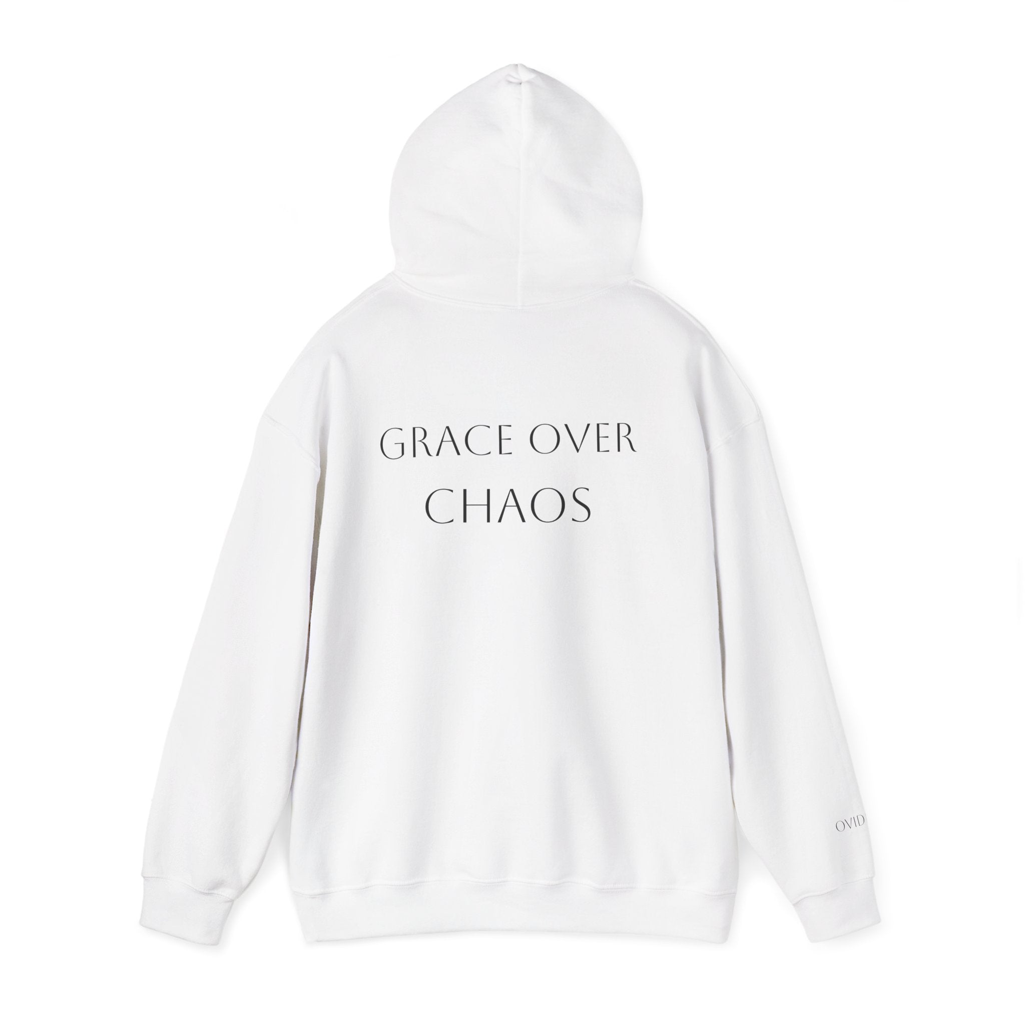Embrace the Chaos Hoodie