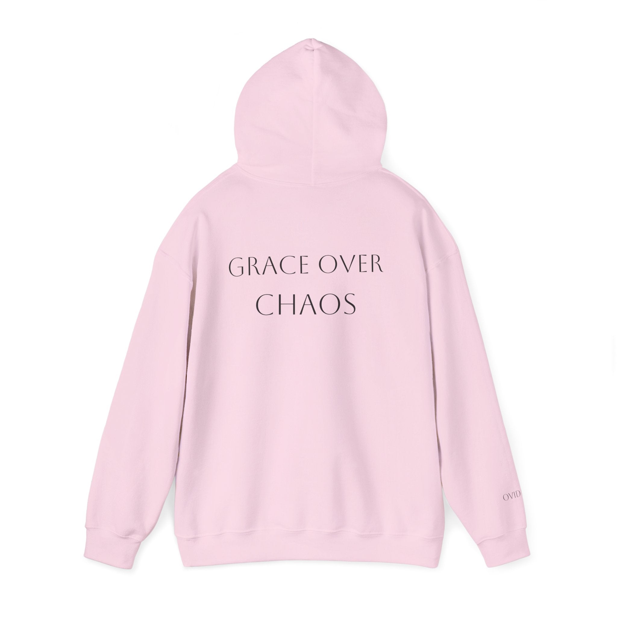 Embrace the Chaos Hoodie