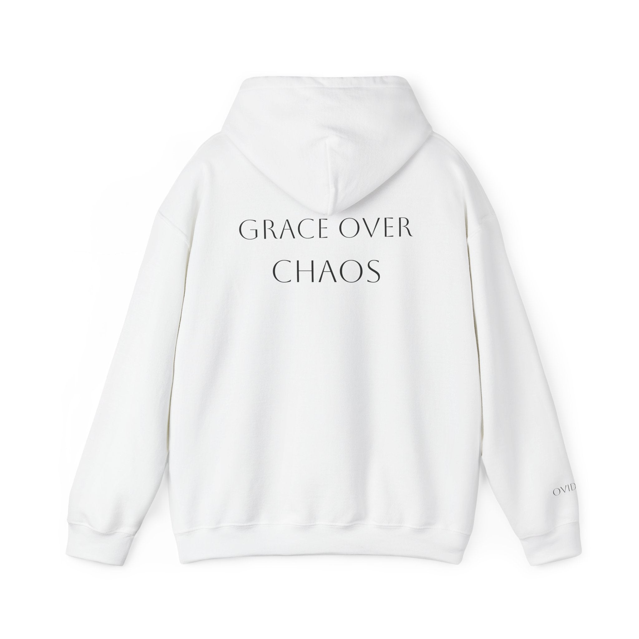 Embrace the Chaos Hoodie