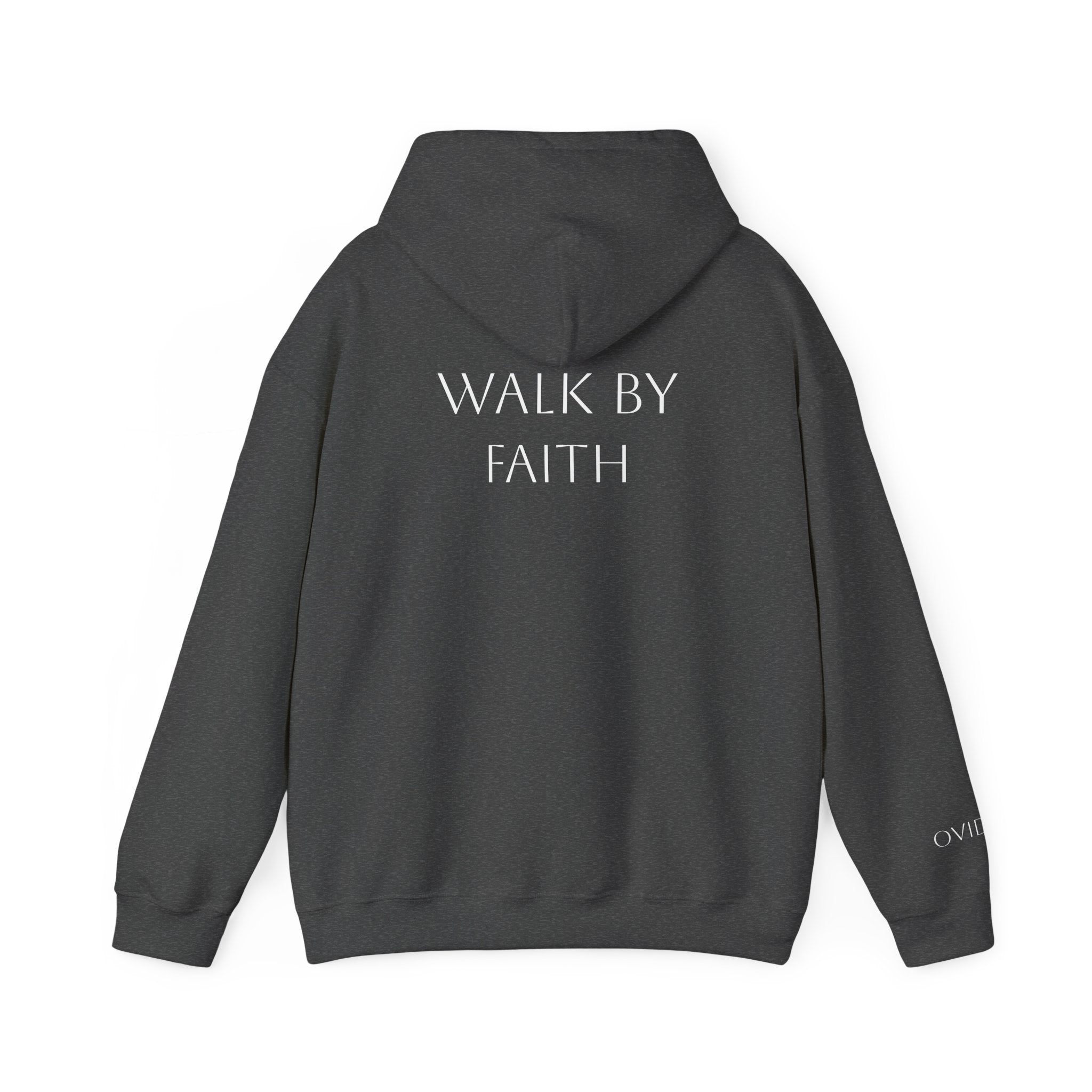 Walk By Faith Hoodie