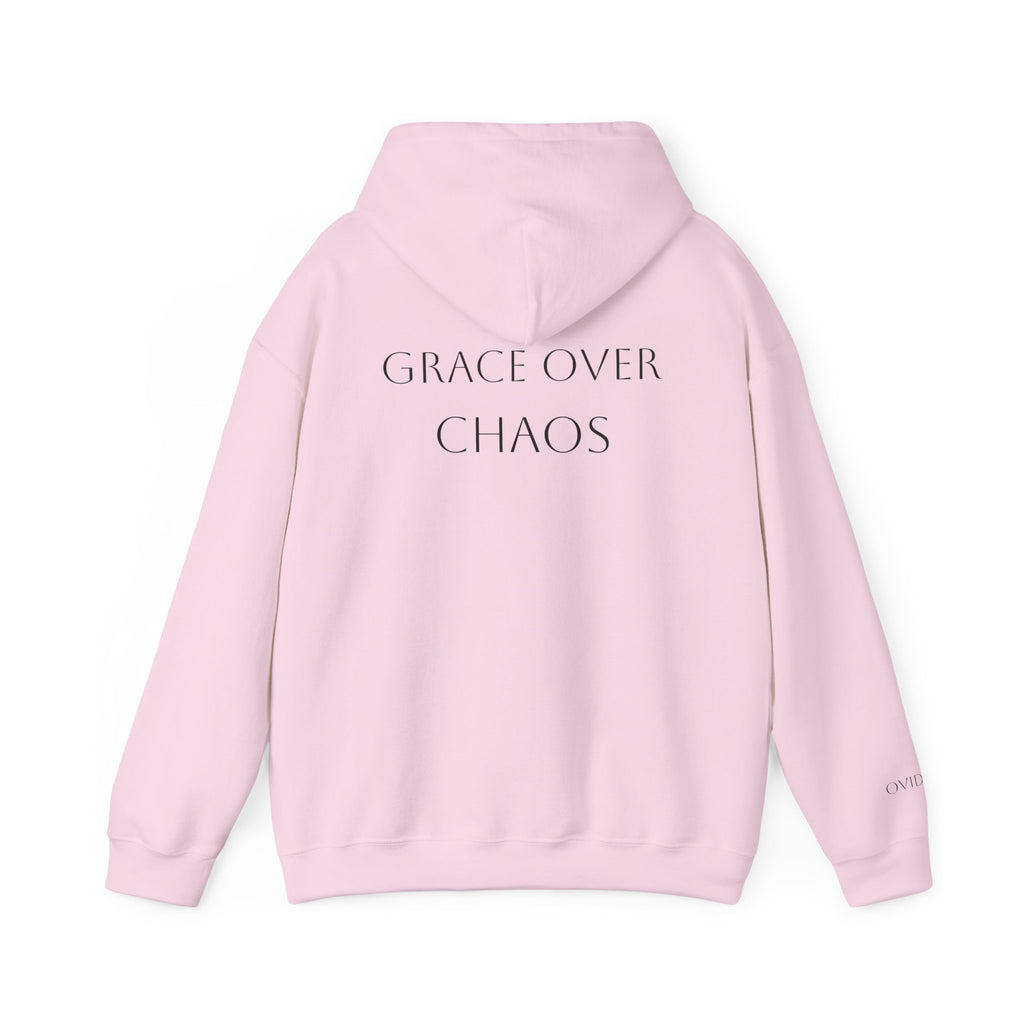 Embrace the Chaos Hoodie